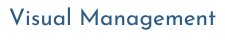 Visual Managment Final
